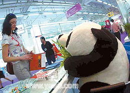 萌態(tài)可掬的熊貓招客秘訣